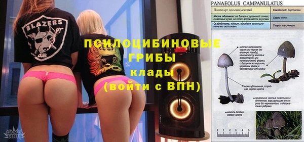 героин Алзамай