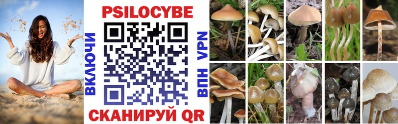 Псилоцибиновые грибы Psilocybine cubensis  закладка  Сухой Лог 