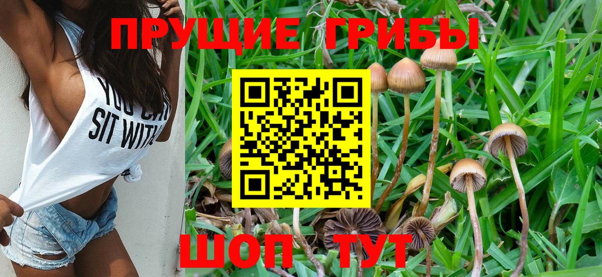 купить  сайты  Вход с VPN  Сухой Лог  Галлюциногенные грибы Magic Shrooms 