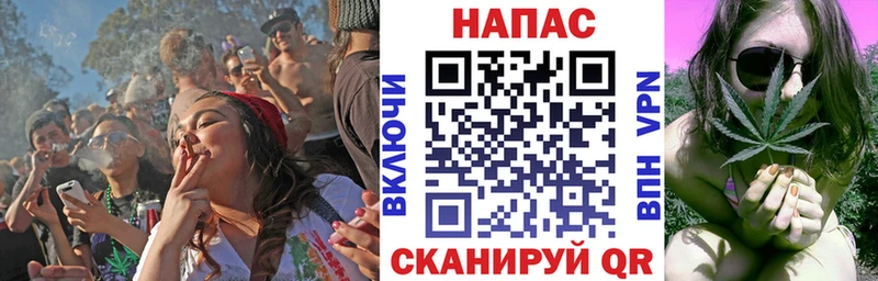 Конопля планчик Сухой Лог
